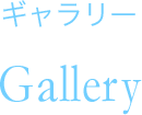 ギャラリー Gallery