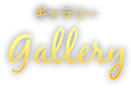 ギャラリー Gallery