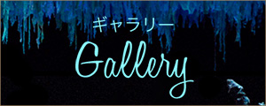 ギャラリー Gallery