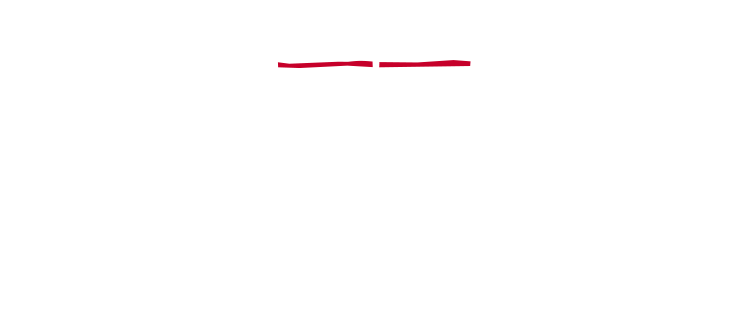 学校行事で『ライオンキング』 を観劇しませんか?