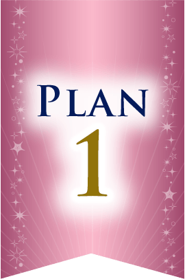 プラン1
