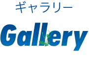 ギャラリー Gallery