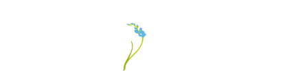 チケット＆スケジュール