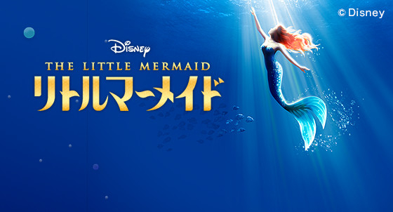 劇団四季 公演プログラム（37演目分） 劇団四季 公演プログラム（37演目分） 劇団四季 公演プログラム