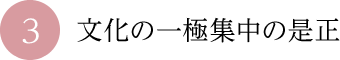 ③文化の一極集中の是正