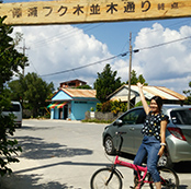 休日の過ごし方 澤山 啓