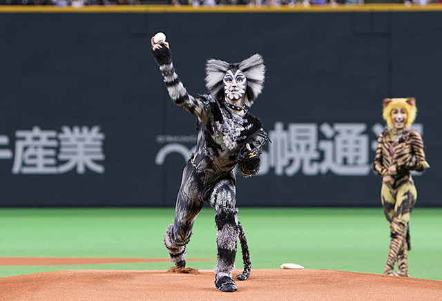 キャッツ が北海道日本ハムファイターズの試合前イベントに登場しました 過去のニュース 更新情報