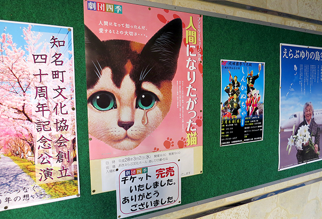 『人間になりたがった猫』全国公演、奄美群島で上演中！