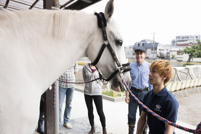 『エクウス』出演候補者が、馬小屋掃除や乗馬を体験！