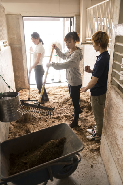 『エクウス』出演候補者が、馬小屋掃除や乗馬を体験！