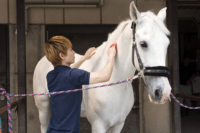 『エクウス』出演候補者が、馬小屋掃除や乗馬を体験！