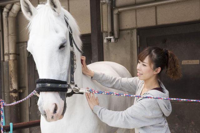 『エクウス』出演候補者が、馬小屋掃除や乗馬を体験！