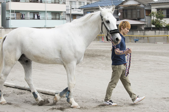 『エクウス』出演候補者が、馬小屋掃除や乗馬を体験！