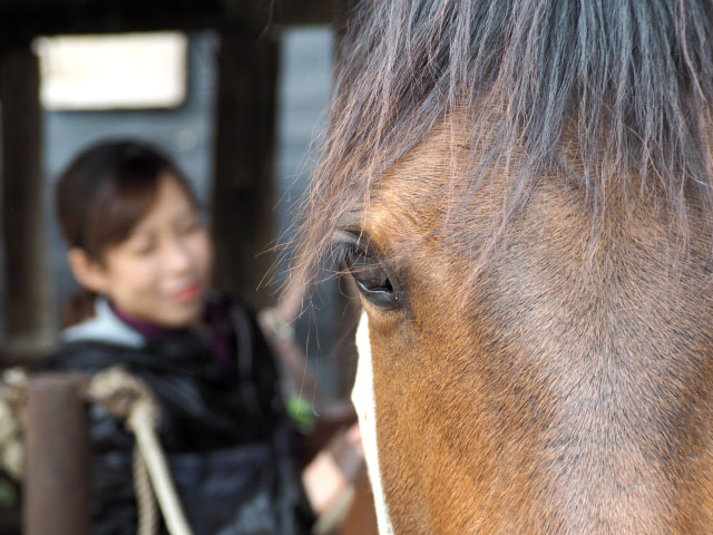 【続・北海道編】『エクウス』出演候補者らが厩舎で掃除や乗馬を体験！