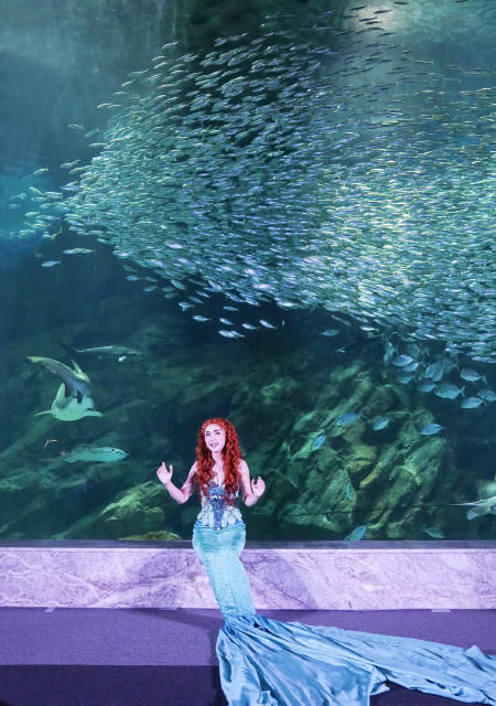 福岡の水族館「マリンワールド海の中道」に、『リトルマーメイド』キャストが登場しました！