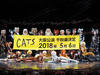 【写真追加】『キャッツ』大阪公演、千秋楽が決定！２０１８年５月にフィナーレ