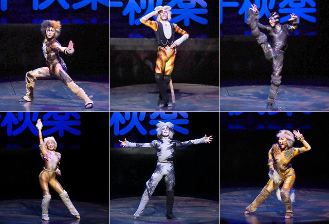『キャッツ』大阪公演が千秋楽を迎えました！――猫たちの次なる舞台は東京へ